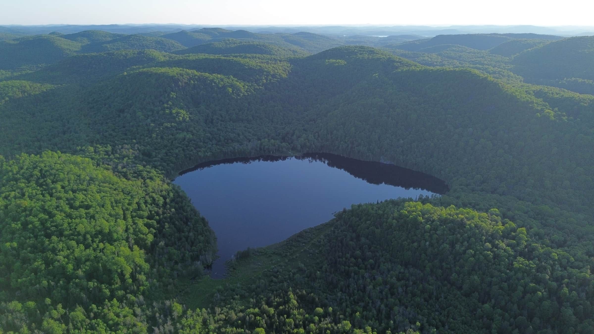 Vue aérienne du domaine de 150 acres avec lac privé